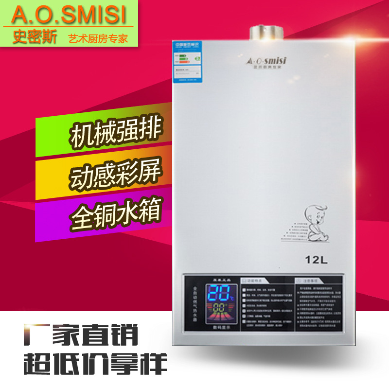 廠傢訂製 史密斯JSQ-Z11燃氣熱水器 天然氣液化恒溫熱水器12L工廠,批發,進口,代購