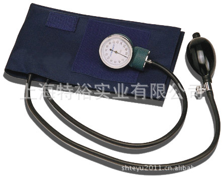 sphygmomanometer 血壓表 血壓表代工 外銷血壓表 不含聽診器工廠,批發,進口,代購
