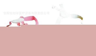 兒童矯形背帶 預防和糾正不良直立姿勢 預防和糾正駝背等問題工廠,批發,進口,代購