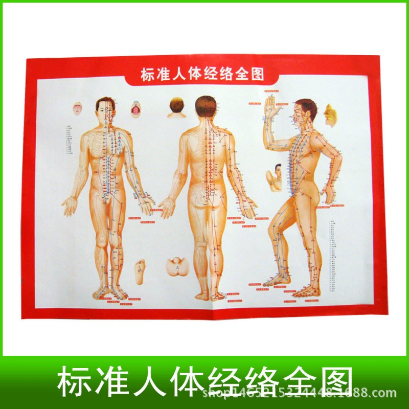艾灸必備人體經絡圖穴位圖艾灸盒隨身灸艾柱手工艾條艾灸圖批發・進口・工廠・代買・代購