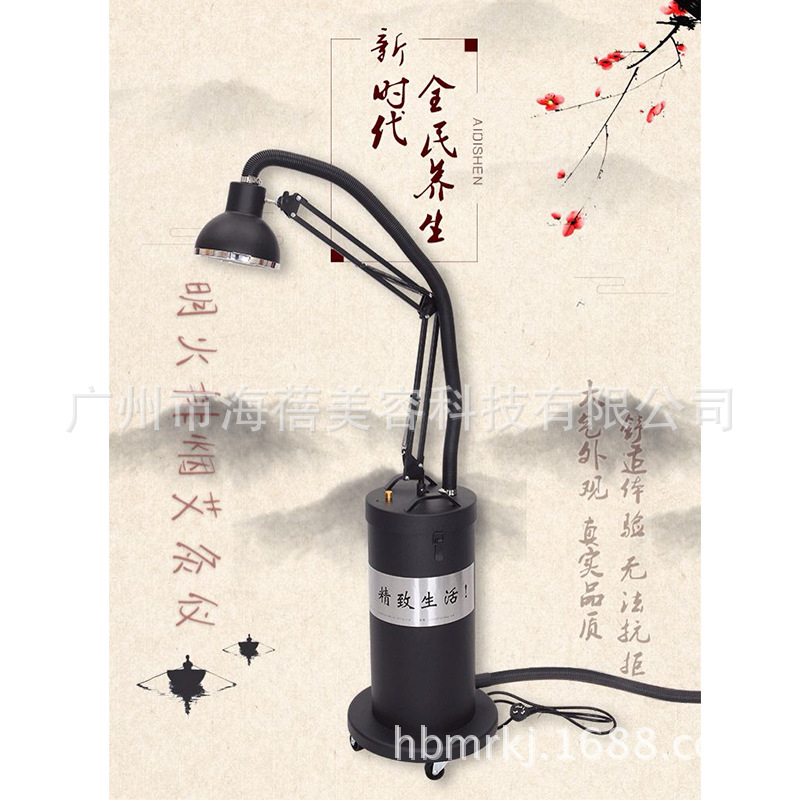 艾迪紳無煙排除煙霧立式艾灸機器懸灸機消煙機溫灸機艾灸盒美容院工廠,批發,進口,代購