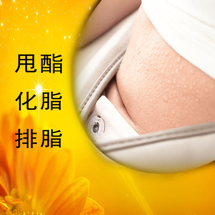 甩酯腰帶 充電款甩脂機瘦身按摩腰帶 保健護腰帶 藥草包加熱腰帶批發・進口・工廠・代買・代購