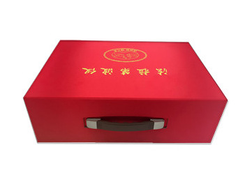 引導波動潮流的法拉第波機工廠,批發,進口,代購