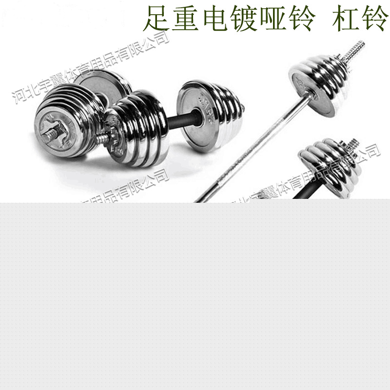 新款男士鍛煉腹肌健身啞鈴 練臂肌傢用杠鈴健身器材鋼製 電鍍啞鈴工廠,批發,進口,代購