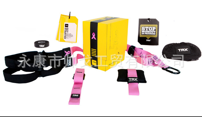 訓練帶Pink HOME P4粉色懸掛式 懸掛式拉力繩粉色批發・進口・工廠・代買・代購