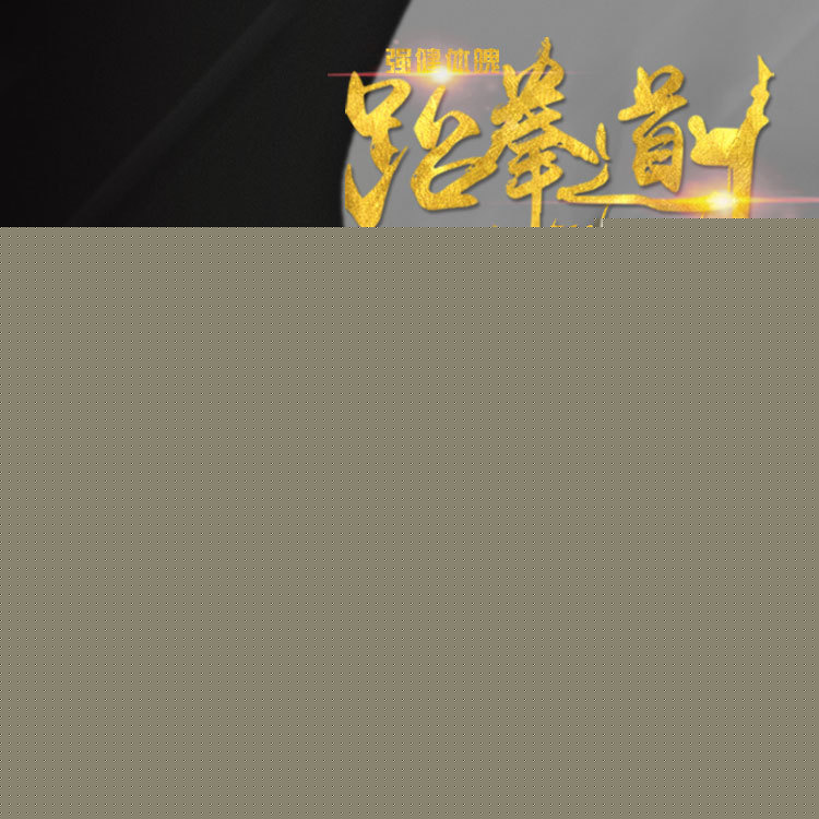 跆拳道腳靶兒童成人道靶雙葉雞腿靶草席文PU訓練實戰可定製logo工廠,批發,進口,代購