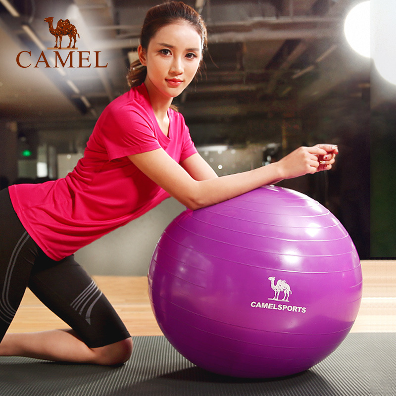 CAMEL駱駝瑜伽球套裝健身瑜伽球平衡彈力運動健身球 A7S3D7101工廠,批發,進口,代購