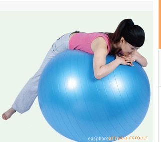 瑜伽球 直徑65cm健身球 瑜伽防爆健身球 環保加厚瑜伽球 送氣拔工廠,批發,進口,代購