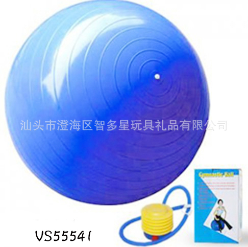 供應65CM健身球/PVC瑜伽球防爆/體操球批發・進口・工廠・代買・代購