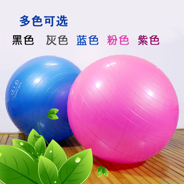 PVC加厚無味防爆瑜伽館專業瑜伽球 孕婦分娩愈加用品定製一件代發批發・進口・工廠・代買・代購