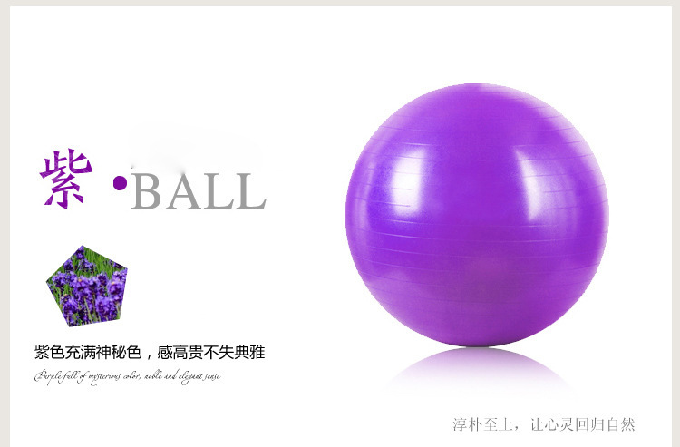 廠傢直銷65厘米瑜伽球 鄭多燕瑜伽球 大龍球 珠光 按摩健身球批發・進口・工廠・代買・代購