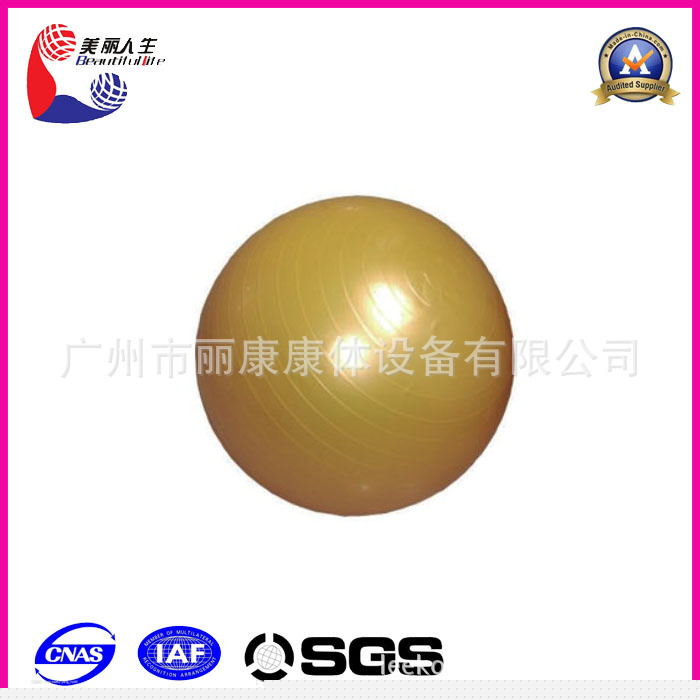 健身房專用健身器材  LK-5320體操球 多功能健身健美球瑜伽球工廠,批發,進口,代購