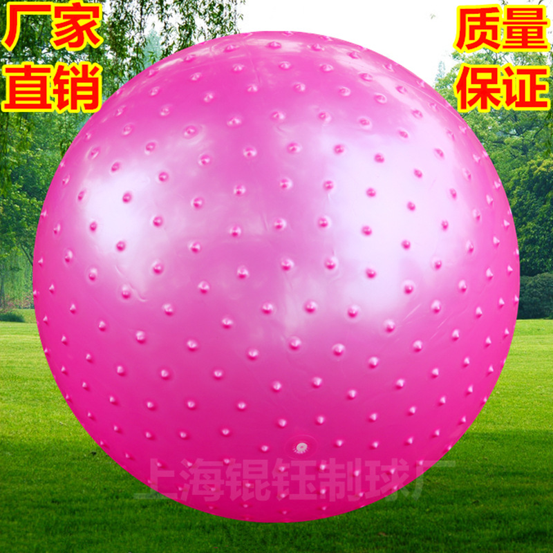 批發加厚防爆瑜伽球55cm 帶刺健身球 pvc瑜伽球傢用健身器材工廠,批發,進口,代購