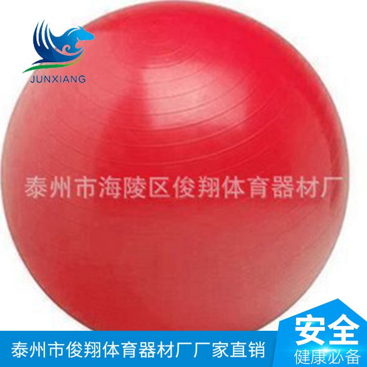 廠傢直供 加厚體操防爆健身球 直徑55CM健身球 特價健身球 批發工廠,批發,進口,代購