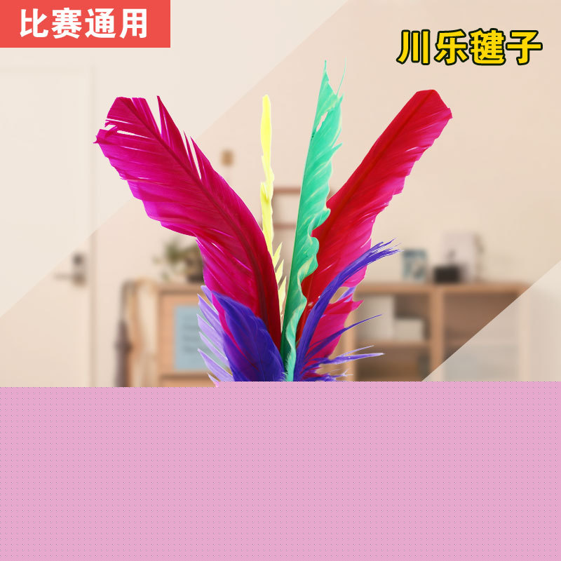 川樂羽毛雞毛踢毽子學生兒童比賽健身花毽耐踢鍵子塑料加厚毽球批發・進口・工廠・代買・代購