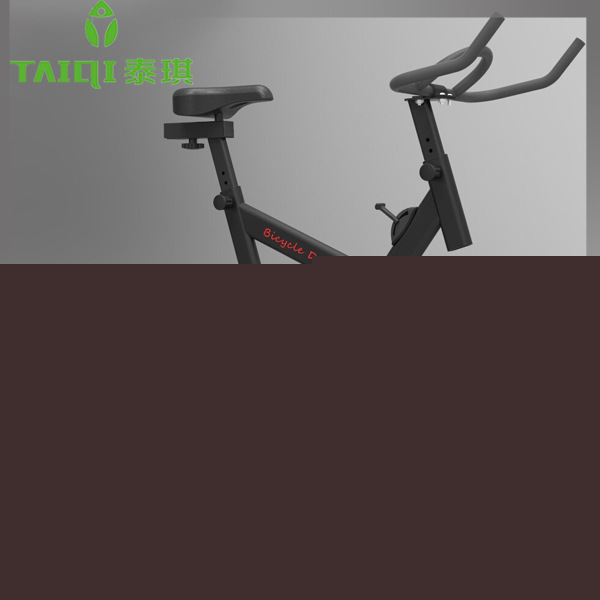 INGRAM減震款動感單車超靜音健身車室內運動腳踏車健身器材傢用工廠,批發,進口,代購