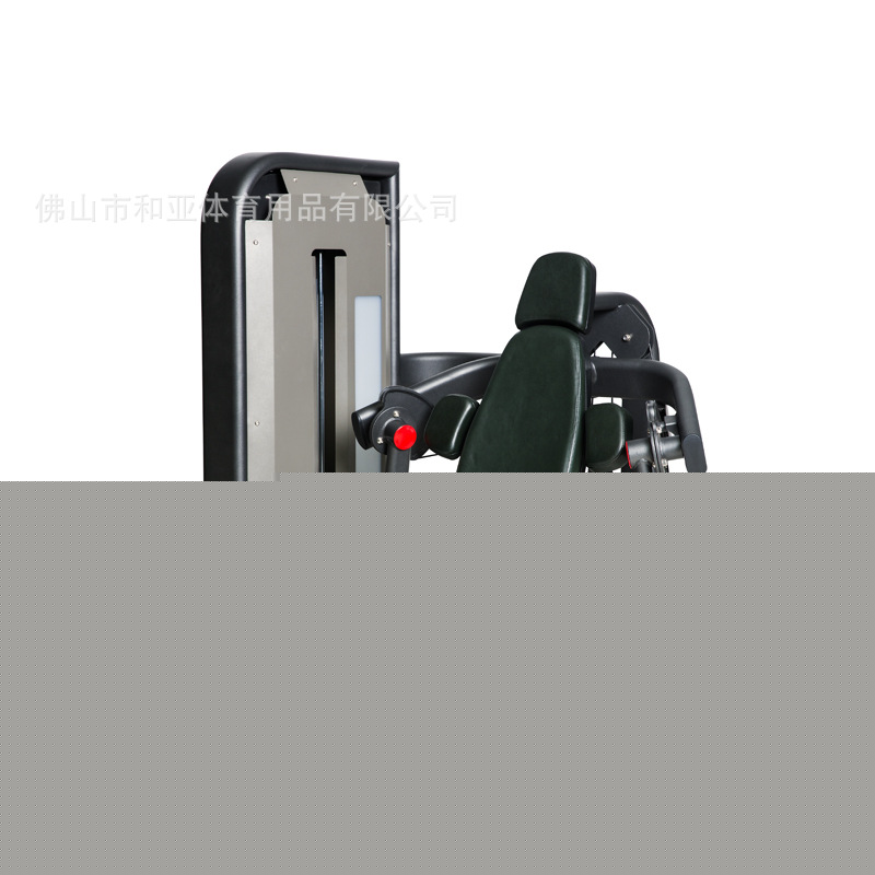 舒華健身房無氧運動 室內健身器材商用肱二頭肌訓練器 SH-6807工廠,批發,進口,代購