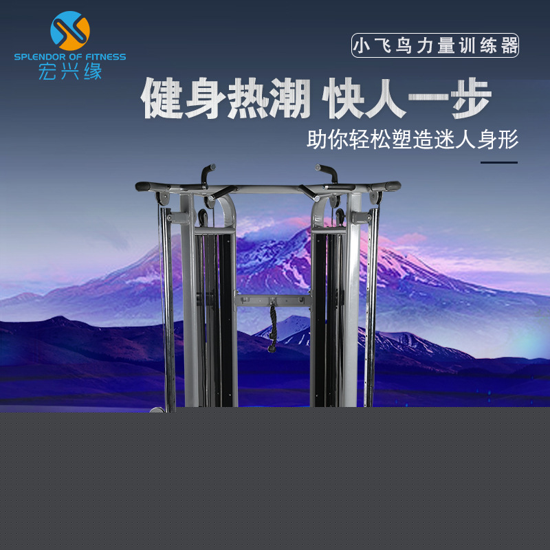 廠傢直銷室內可放置商用小飛鳥訓練器 龍門架力量組合健身器材批發・進口・工廠・代買・代購