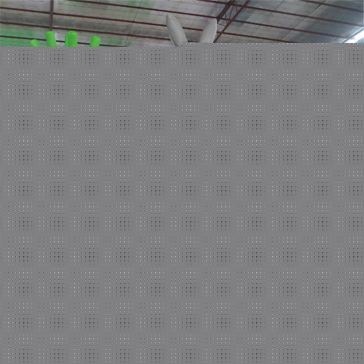 充氣產品廠傢直銷 戶外運動遊藝設淘氣堡兒童滑梯兔子跳床工廠,批發,進口,代購