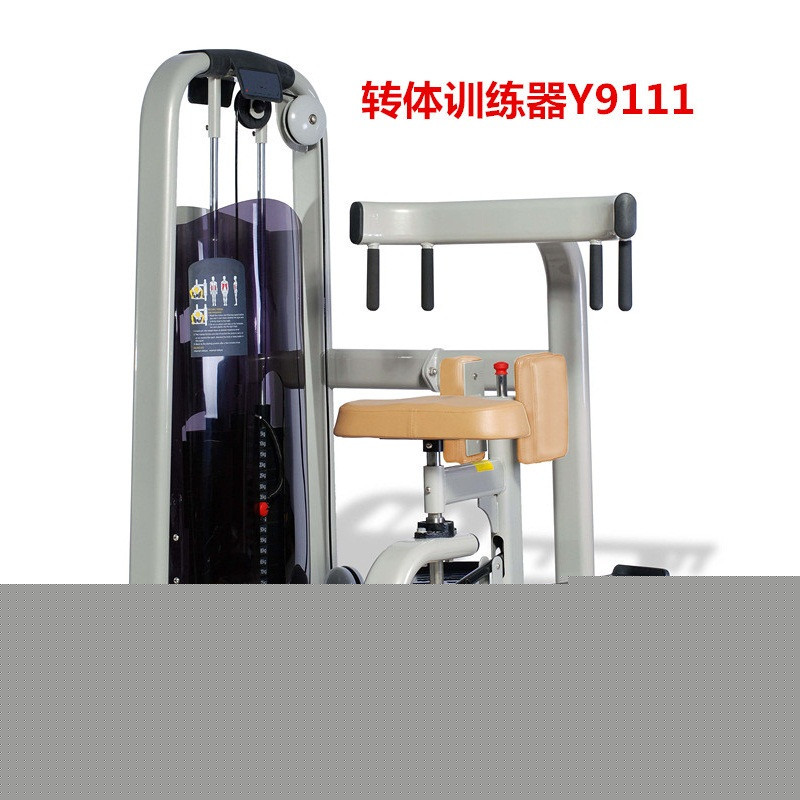 廠傢定做出口型健身房器材專業力量型室內運動腰肌轉體一件代發批發・進口・工廠・代買・代購