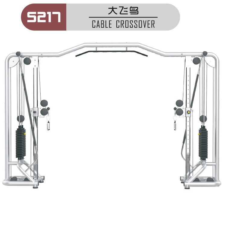 大飛鳥訓練器新款系列品牌蘇州健身器材專賣店商用自由力量團購工廠,批發,進口,代購
