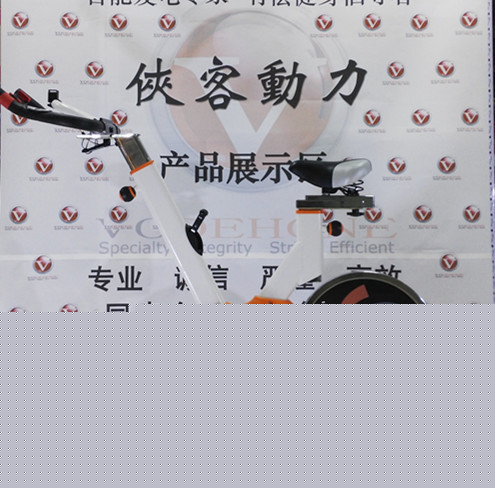 廠傢功率健身發電騎行腳踏動感單車自行車室內靜音發電機設備12v批發・進口・工廠・代買・代購