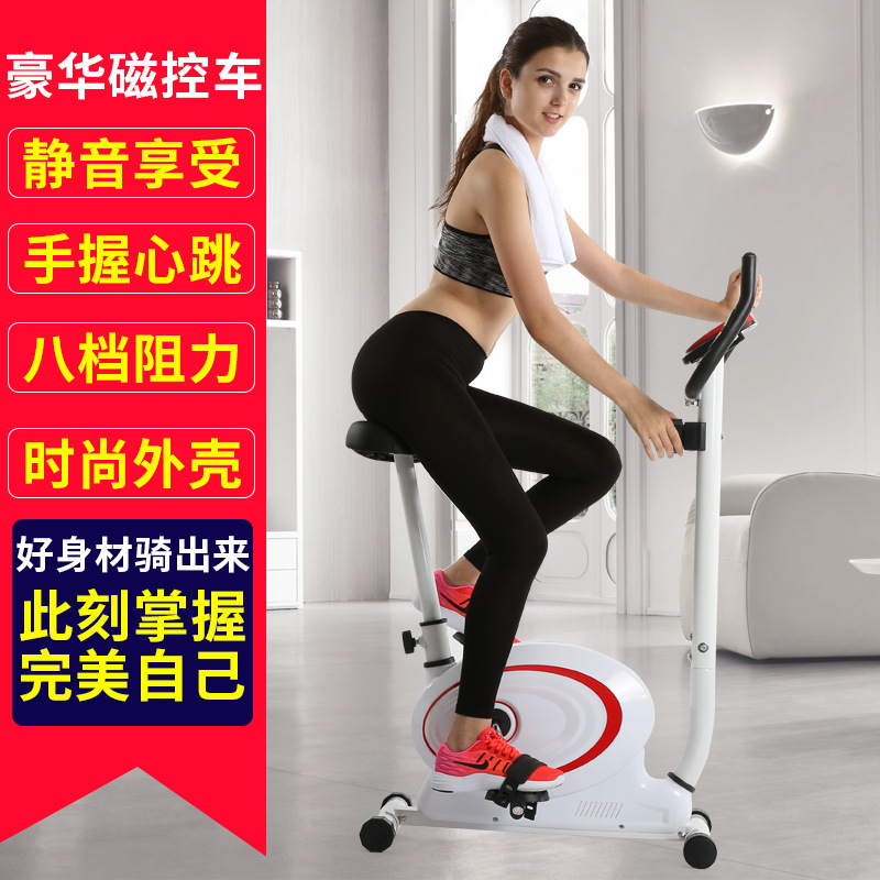 傢用磁控健身車動感單車超靜音大飛輪豪華腳踏車復健訓練器批發・進口・工廠・代買・代購