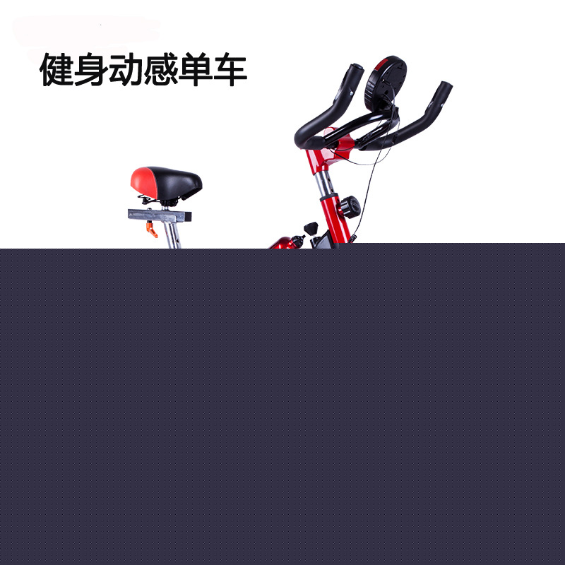 一件代發 磁控車 傢用健身動感腳踏車 瘦身健身器材 廠傢直銷批發・進口・工廠・代買・代購