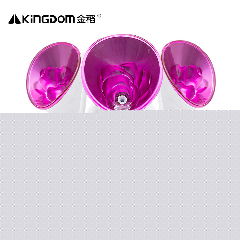 金稻蒸臉器 美容機器補水保濕 納米噴霧離子補水蒸臉機 KD-2331工廠,批發,進口,代購