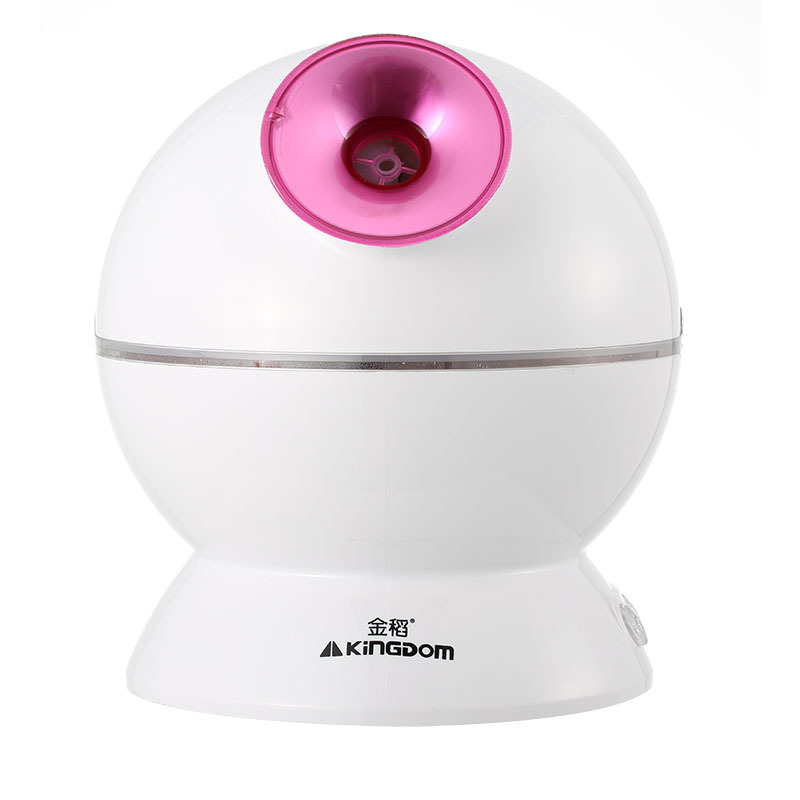【一件代發】金稻冷熱蒸臉器傢用美容補水保濕納米噴霧加濕離子工廠,批發,進口,代購