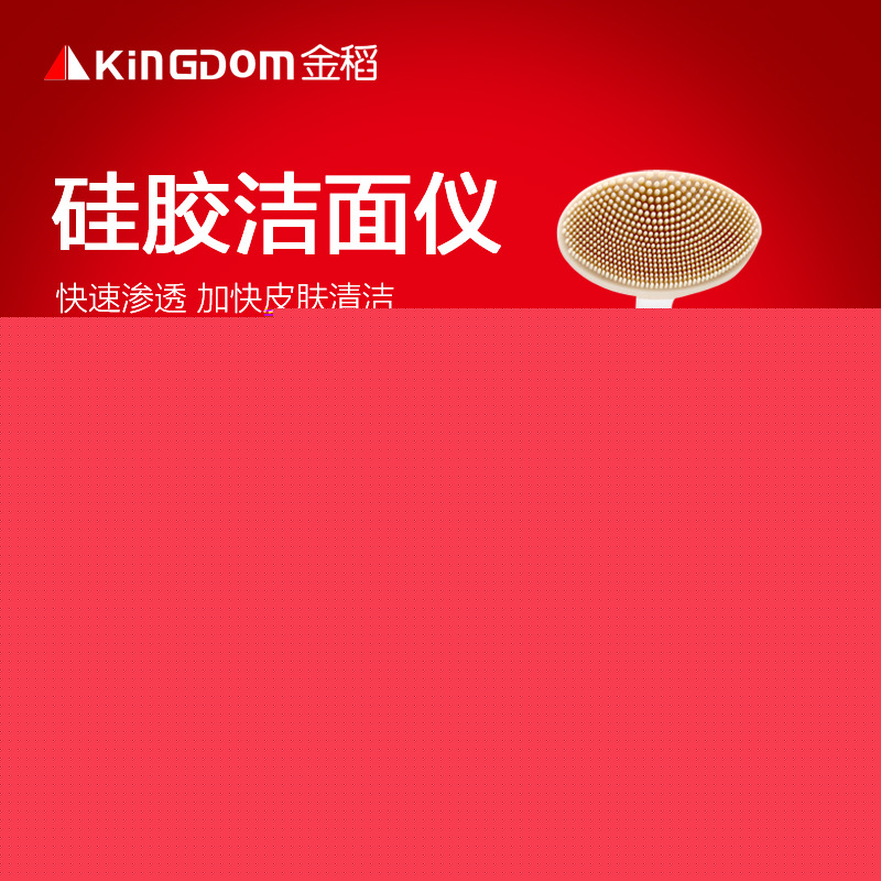 金稻kd-3031B潔麵機潔麵刷洗臉機 洗臉神器洗臉刷 洗臉器廠傢直銷工廠,批發,進口,代購
