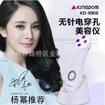 金稻KD-9900電穿孔無針電子美容機 彩光射頻祛皺導入機嫩膚拉皮機工廠,批發,進口,代購