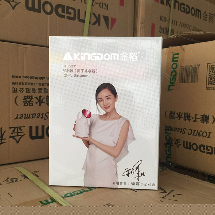 金稻KD2331A熱噴傢用大水箱蒸臉器 納米離子補水美容機噴霧器工廠,批發,進口,代購