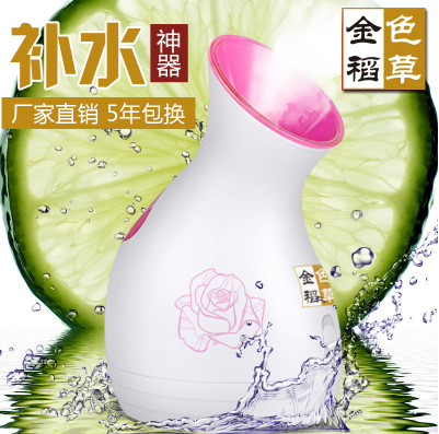 蒸臉器美容機納米補水噴霧蒸臉機臉部加濕器蒸汽機熱噴蒸臉機傢用工廠,批發,進口,代購