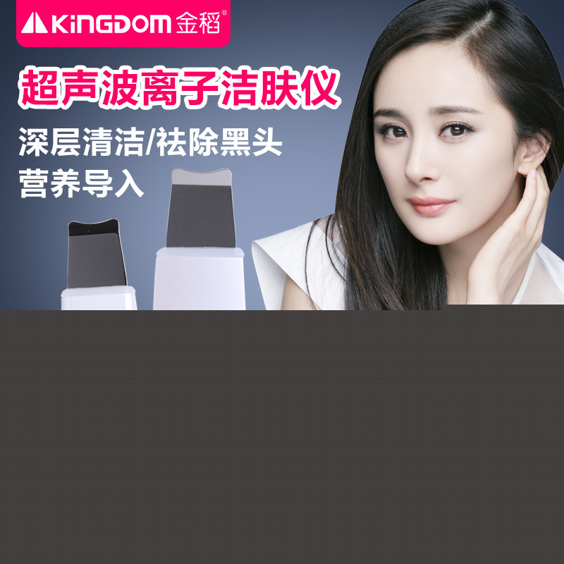 金稻超音波鏟皮機 導入精華臉部清潔器 臉部潔麵機美容機KD-8020工廠,批發,進口,代購