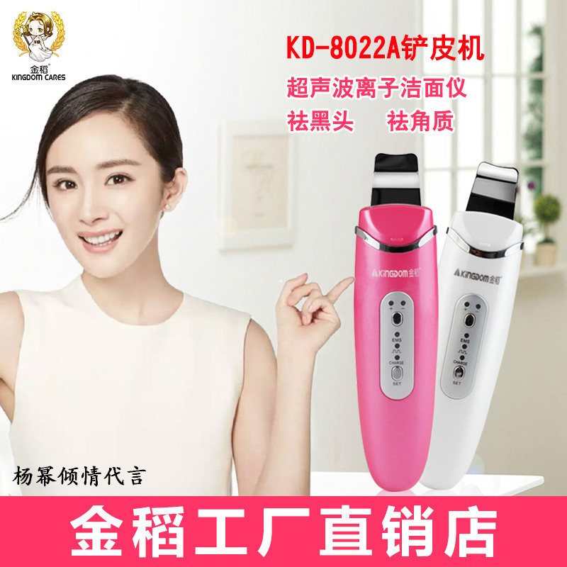 金稻美容機KD-8022A離子導入產皮機 超音波深層清潔除黑頭工廠,批發,進口,代購