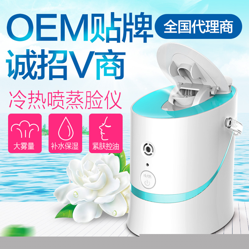 貼牌 冷熱蒸臉器美容機器噴霧機 傢用補水機 納米噴霧保濕潔麵機工廠,批發,進口,代購