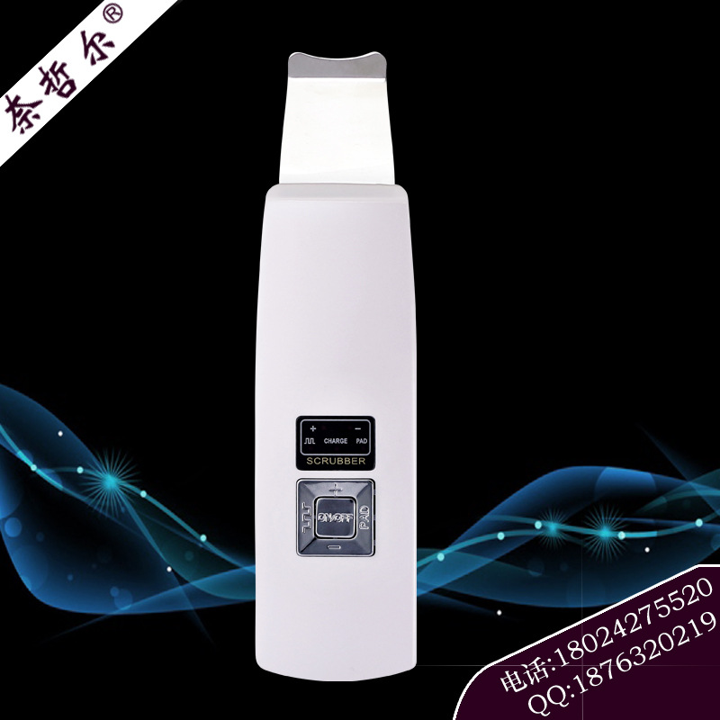 超音波負離子鏟皮機 洗臉器R-0111工廠,批發,進口,代購