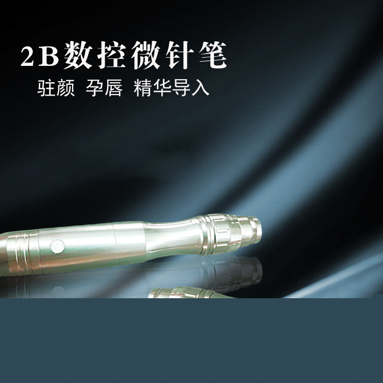 廠傢供應電動微針 美容微針筆 納米微晶 微針美塑 飛梭機美容機批發・進口・工廠・代買・代購