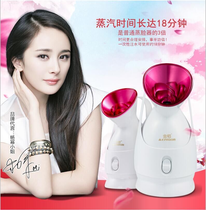 金稻KD-2331-A蒸臉器傢用美容機器美白保濕噴霧機納米離子噴霧機工廠,批發,進口,代購