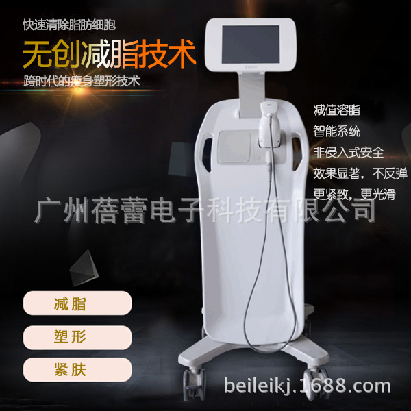 2017美容院美容美體設備 聚焦溶脂機 熱力塑美體瘦身機工廠,批發,進口,代購