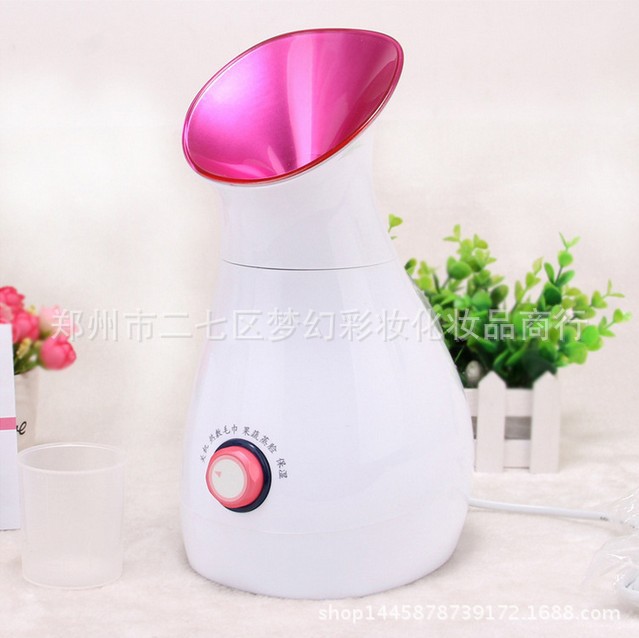 正品 美克斯MKS果蔬美容噴霧機NV8318 補水加濕、果蔬熏蒸熱毛巾工廠,批發,進口,代購