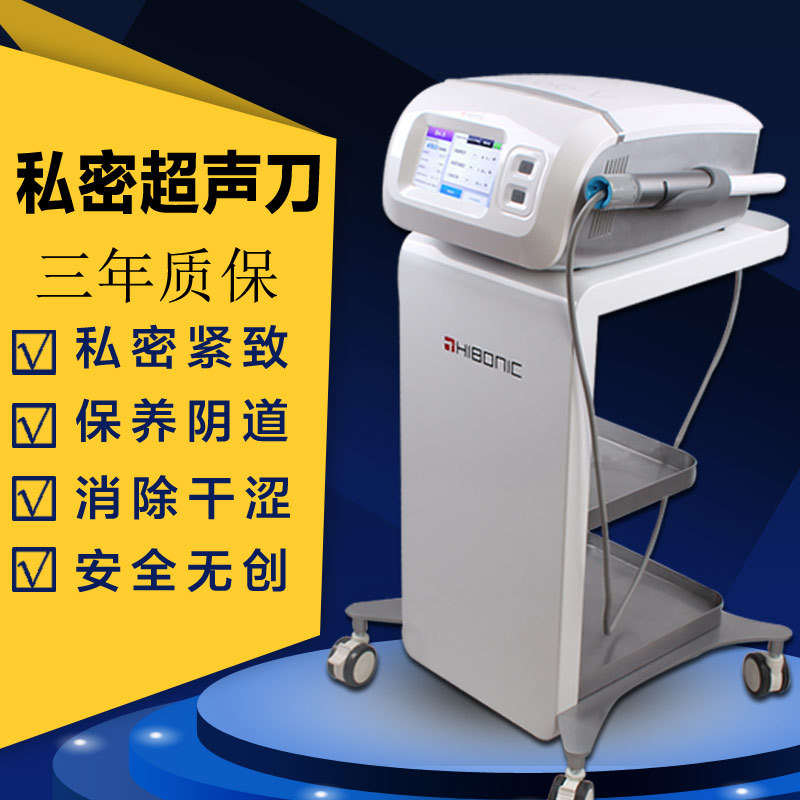 美容院用私密超聲刀美容機安全無痛陰道緊致護理抗衰美容機器包郵批發・進口・工廠・代買・代購