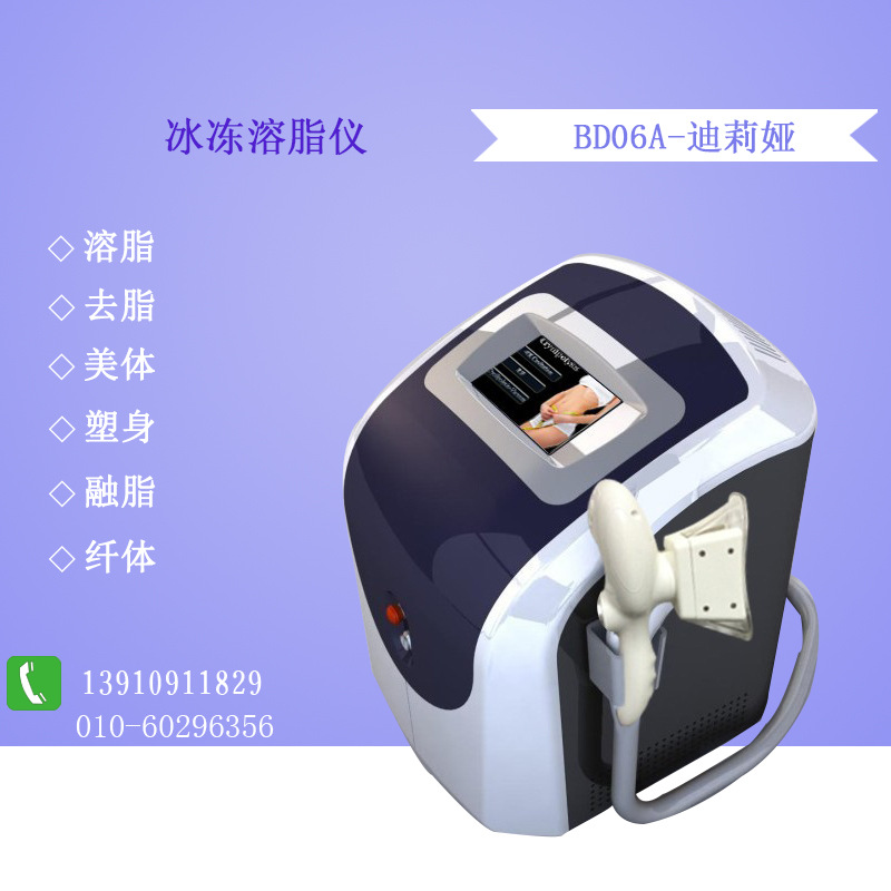 BD06A-迪莉婭 冰凍溶脂機 冰凍溶脂傢用塑身機 纖體機工廠,批發,進口,代購
