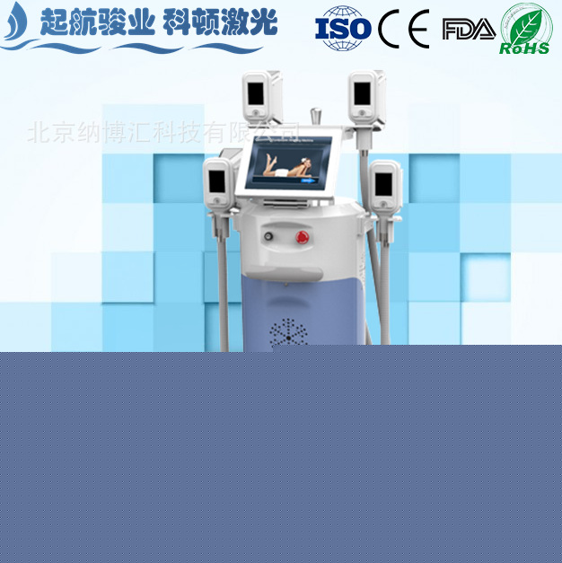 四頭穩定負壓冷凍溶脂機  冰凍塑身機 塑身纖體機 治療一次3-6cm工廠,批發,進口,代購