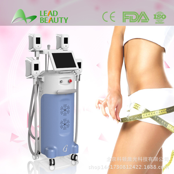 冷凍溶脂機器，冷凍瘦身機器，冰凍溶脂塑形機，冰凍力纖體瘦身機工廠,批發,進口,代購