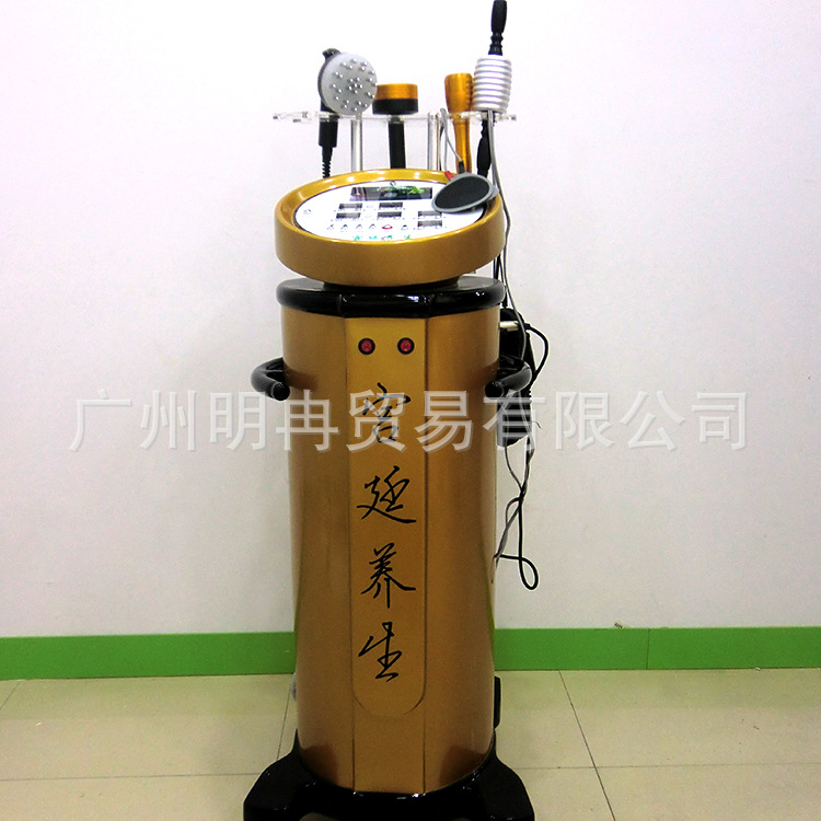 宮廷養生身體排毒按摩電療機中醫體控電療針灸拔罐疏通經絡溫灸機批發・進口・工廠・代買・代購