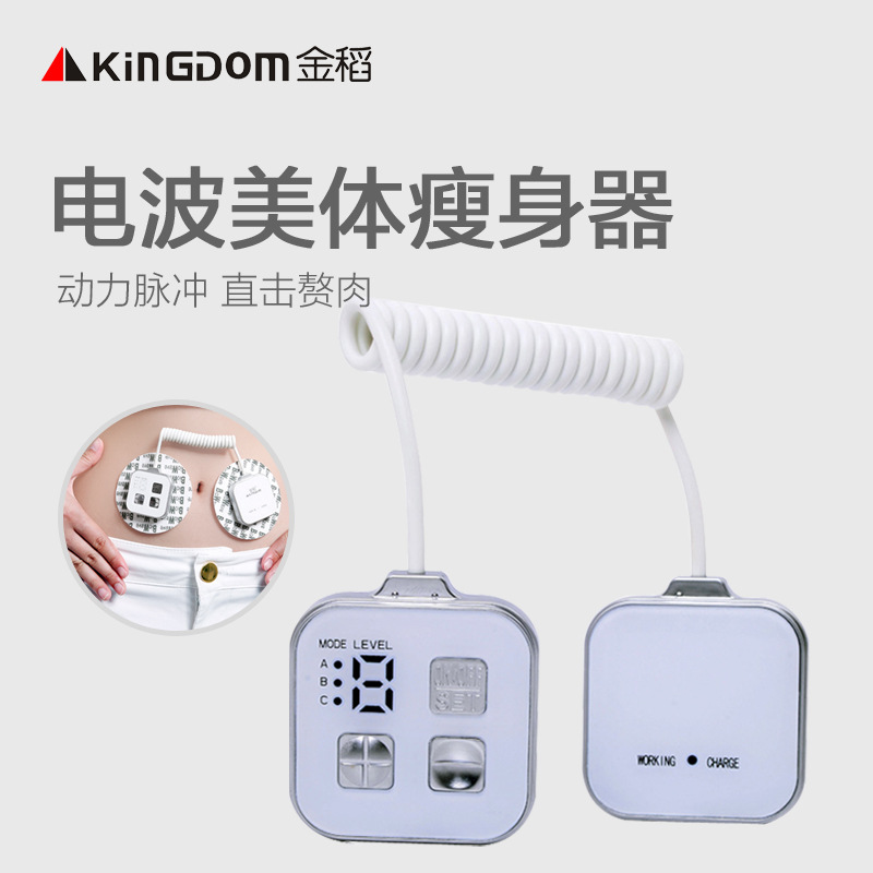 金稻KD-908運動瘦身機 電波美體瘦身器傢用甩脂機 懶人瘦身機器批發・進口・工廠・代買・代購