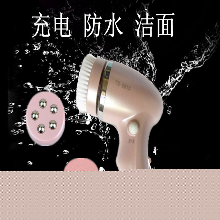 充電防水潔麵機電動美容機震動按摩洗臉機 洗臉刷TS0815麵部清潔批發・進口・工廠・代買・代購