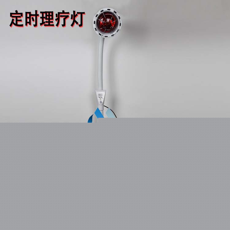 烤燈電療機美膚燈遠紅外線三檔定時調溫加熱保養卵巢燃脂溶脂275W工廠,批發,進口,代購